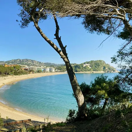 Odisea By Interhome Lloret de Mar